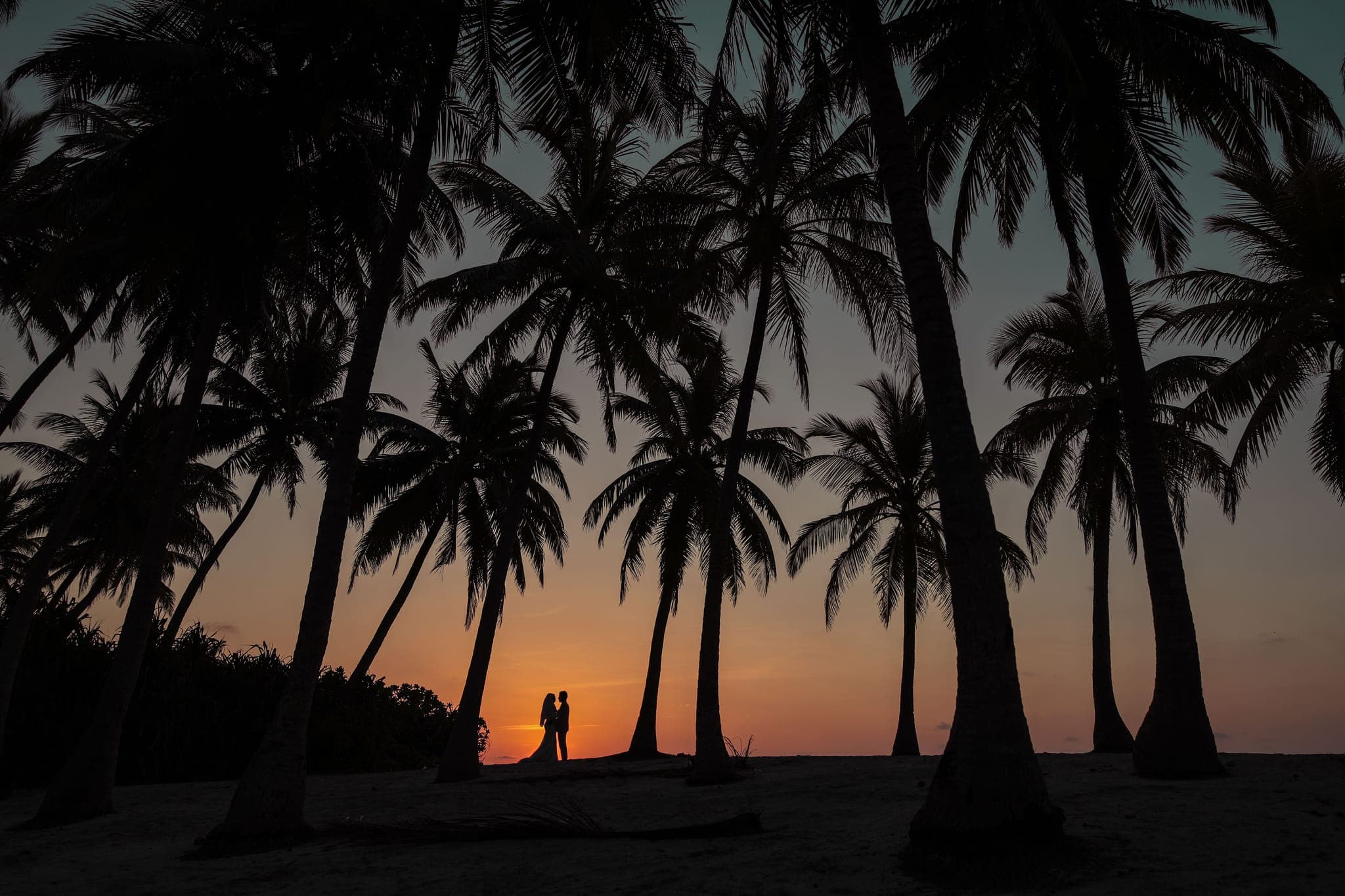 Couple silhouetted between palm trees at sunset