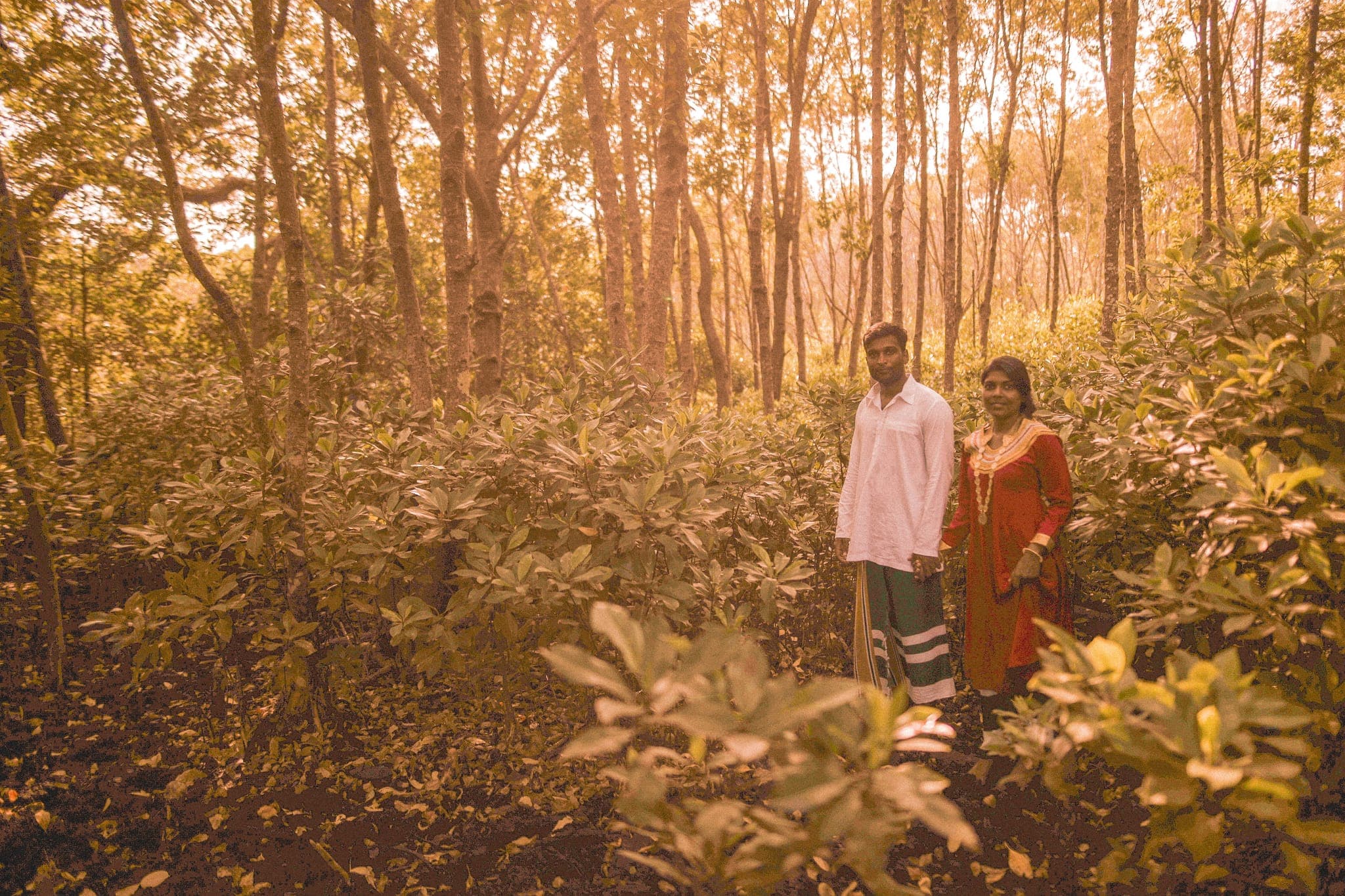 Couple standing together in golden-lit forest