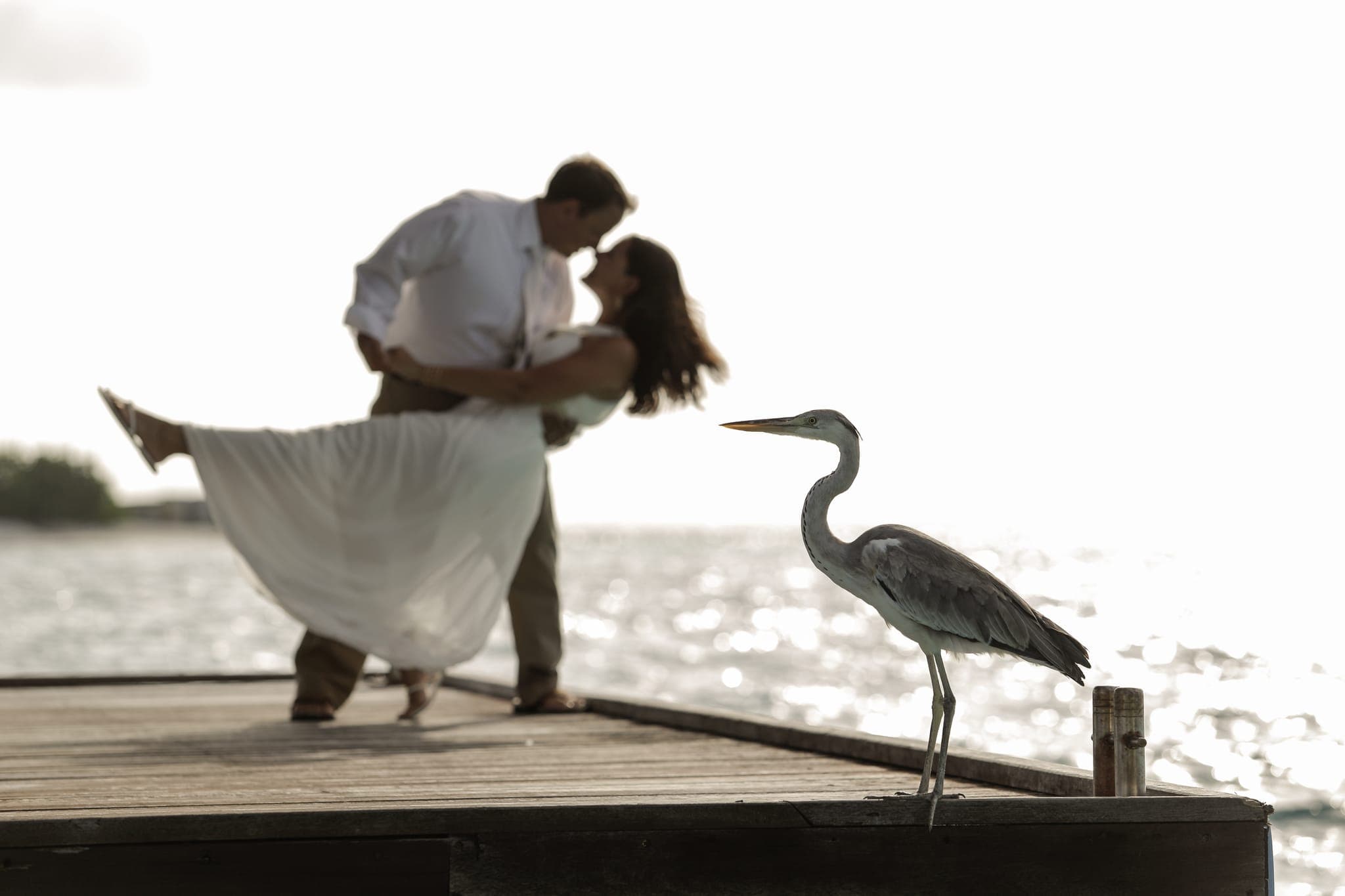 Couple dancing on dock beside a standing heron